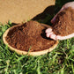 ✨ Premium Organic Coconut Coir Bricks for Plants