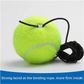 🔥 Last Day Sale 49%🎾🏏Tennis Ball Training Baseboard