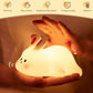 💝Best Gift Ever🐼Cute Animal Night Light🐰