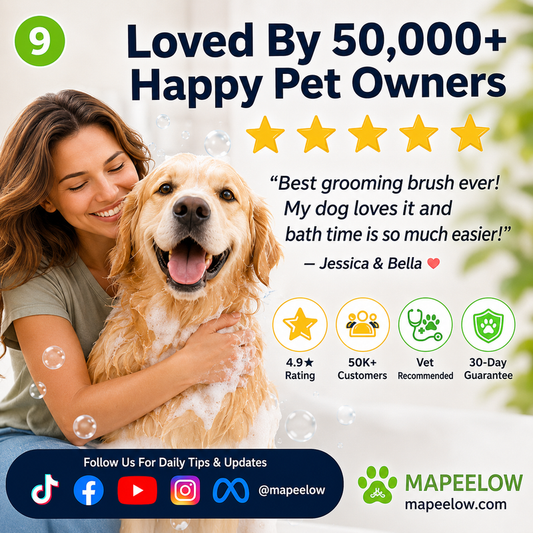 🌟🌟Bade børste til kæledyr med indbygget shampoo-dispenser 🐾 Skånsomt massage- og plejeværktøj til hunde og katte – ergonomisk, brugervenligt og godkendt af dyrlæger 🇬🇧💧