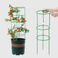 🌿✨Aftageligt plantestativ med støttepæle til planter, blomster og frugter