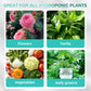 🌷🌲Hydroponisk næringsstofopløsning til plantevækst🌿