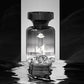 🌿🧴 Bilparfume med naturlige planteekstrakter – Langvarig duft 🕯️✨ der fjerner lugt fra røg & mad. Vælg mellem 3 luksusdufte. 110 ml.
