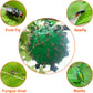 🔥Last Day Promotion - 50% OFF🔥Hanging Environmental Fruit Fly Traps Sticky Traps-BUY 1 GET 1 FREE