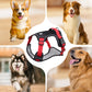 🐶 50 % RABAT NU! 🛡️ Hundesele, der ikke trækker, med snor og LED-halsbånd – sikker og behagelig ✨