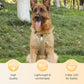 🐶 50 % RABAT NU! 🛡️ Hundesele, der ikke trækker, med snor og LED-halsbånd – sikker og behagelig ✨