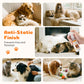 Pet Deodorizing & Detangling Spray