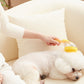 🌟🌟Bade børste til kæledyr med indbygget shampoo-dispenser 🐾 Skånsomt massage- og plejeværktøj til hunde og katte – ergonomisk, brugervenligt og godkendt af dyrlæger 🇬🇧💧