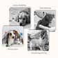 Kæledyrspleje Handske Servietter til Hunde & Katte - 6 stk./pakke