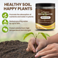 🌱✨ NU: 50% RABAT I BEGRÆNSET TID – Organisk Jordaktivator – Aktiverer Jordliv – Regulerer pH – Forbedrer Spiring – Til Hjem & Professionel Plantning – Miljøvenlig Formel 🛡️💪