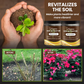 🌱✨ NU: 50% RABAT I BEGRÆNSET TID – Organisk Jordaktivator – Aktiverer Jordliv – Regulerer pH – Forbedrer Spiring – Til Hjem & Professionel Plantning – Miljøvenlig Formel 🛡️💪