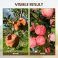 🌱✨ NU: 50% RABAT I BEGRÆNSET TID – Organisk Jordaktivator – Aktiverer Jordliv – Regulerer pH – Forbedrer Spiring – Til Hjem & Professionel Plantning – Miljøvenlig Formel 🛡️💪